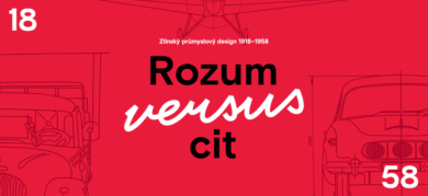 Rozum versus cit